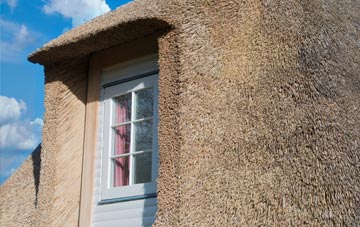 Moorswater thatch roof disadvantages